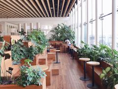 -Seesaw Coffee(朝阳大悦城店)