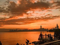 -深圳湾公园(南山区)