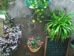 -猫的天空之城概念书店(西塘古镇店)