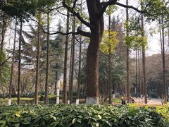 -苏州河梦清园环保主题公园