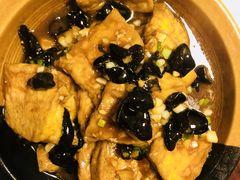家常豆腐-鸿运楼·舌尖上的徽菜