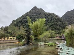 -靖西鹅泉风景区