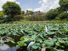 -广州莲花山旅游区