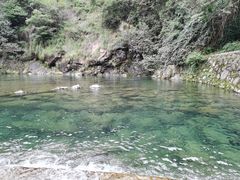 -宁波五龙潭景区