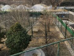 -郑州市动物园
