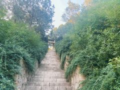 -北京十三陵国家森林公园蟒山景区