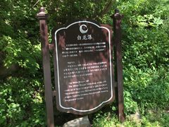 -望天鹅景区