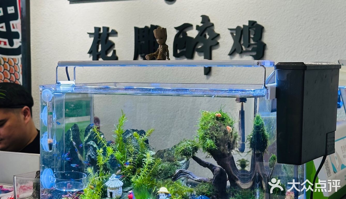 打卡花雕醉鸡·中医药大学店