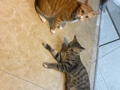 -逃脱反斗城沉浸剧情密室(北京路店)