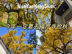 -南岳衡山风景名胜区