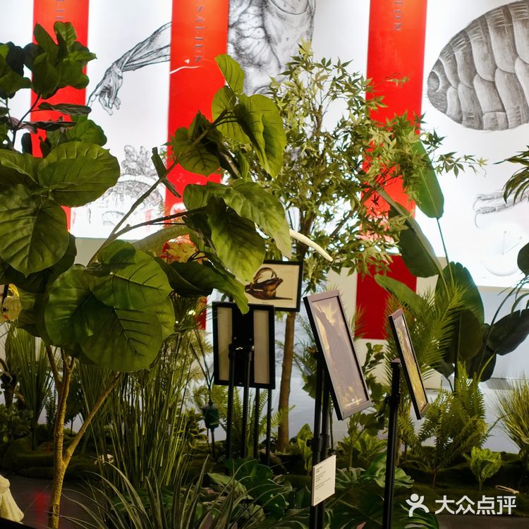 诸多旷世杰作影像首次国内亮相|大英图书馆·世界像素