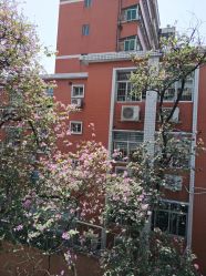 -广州市妇女儿童医疗中心(妇婴院区)