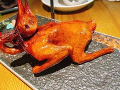 -大鸽饭(岗顶店)