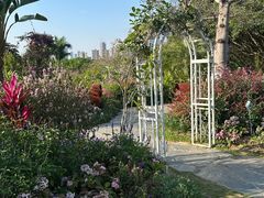 -东莞植物园