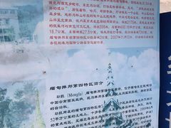-打洛口岸