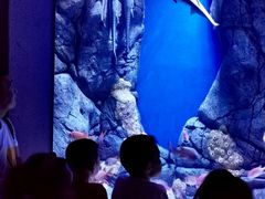 -成都浩海立方海洋公园