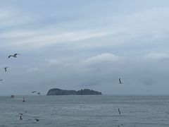 -海驴岛(荣成市)