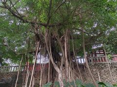 -乌山风景区