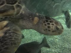 -福州罗源湾海洋世界旅游区