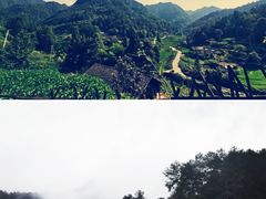 -梧桐山风景名胜区