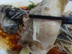 -东鸽皇(奥园·中环广场店)