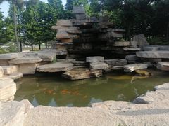 -羊亭河湿地公园