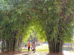-堤角公园