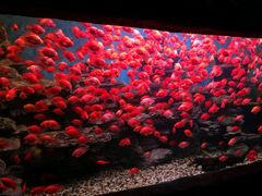 -多彩贵州城极地海洋世界