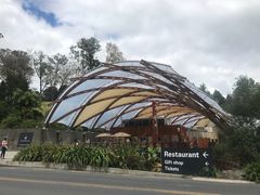 -怀托摩萤火虫洞