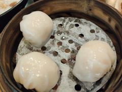 添运来虾饺皇-添运来(茶园奥园广场店)