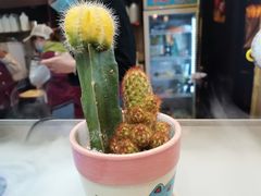 -三只耳火锅(宽窄巷子店)