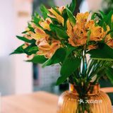 This is a life class