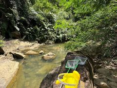 -广州白江湖森林公园