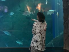 -成都浩海立方海洋公园