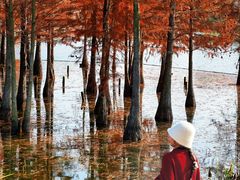 -白鹭湾湿地公园