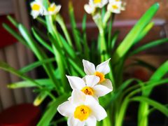 -三旗百汇商品城