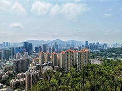 -板樟山森林公园