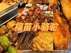 -福苗小骆驼烧烤(莲湖路店)