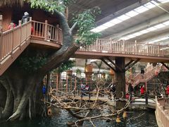 -南宫五洲植物乐园