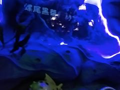 -郑州方特梦幻王国