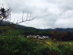 -塔川景区