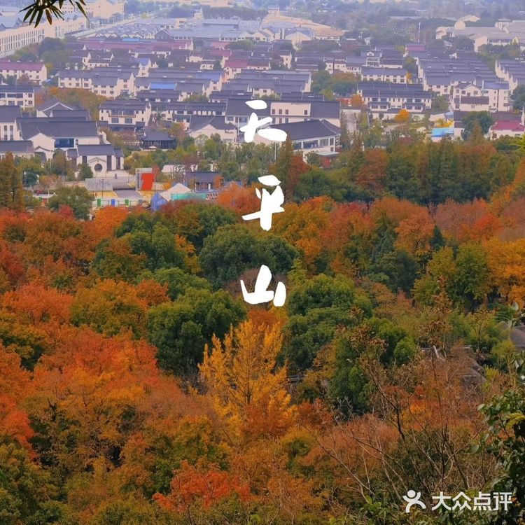 秋意浓 | 苏州天平山赏枫