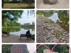 -泰丰公园