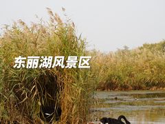 -天津东丽湖风景区