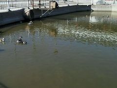 android_upload_pic-河北村民俗体验园