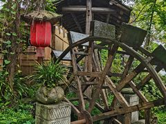 -青城甲(青城山店)