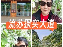 -国家植物园南园