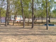 内景-北京房车博览中心