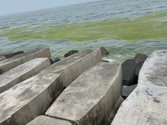 -八大关景区
