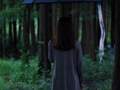 -艾溪湖湿地公园